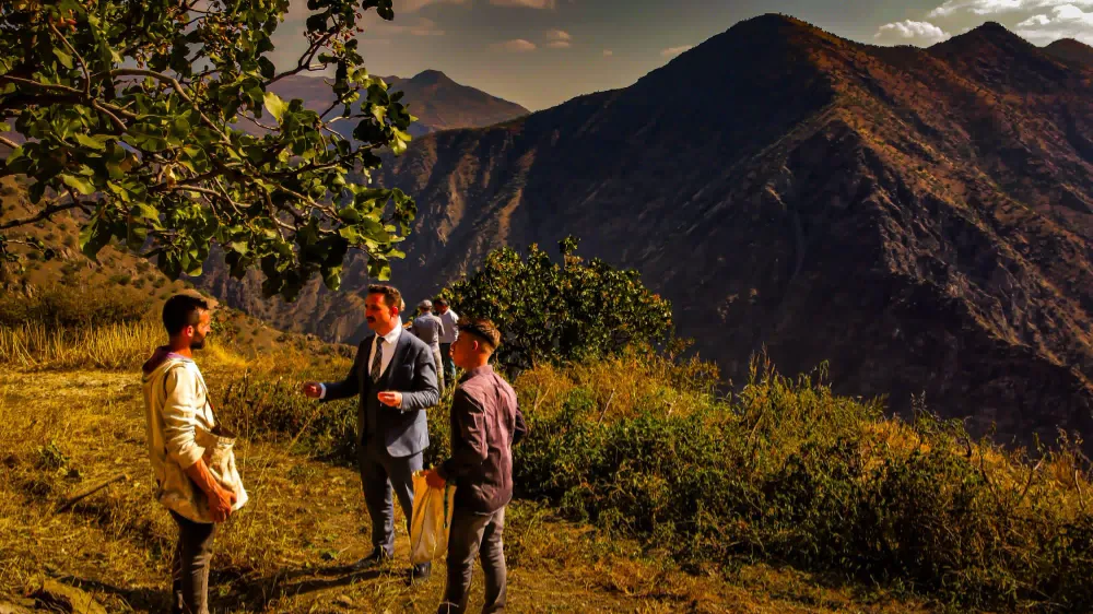 Hizan’da Siirt Fıstığı  Hasadı Devam Ediyor 