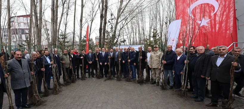 Adilcevaz’da 12 Bin Aşılı Ceviz Fidanı Dağıtıldı  Kapama Ceviz Bahçesi Projesi Hizmete Açıldı
