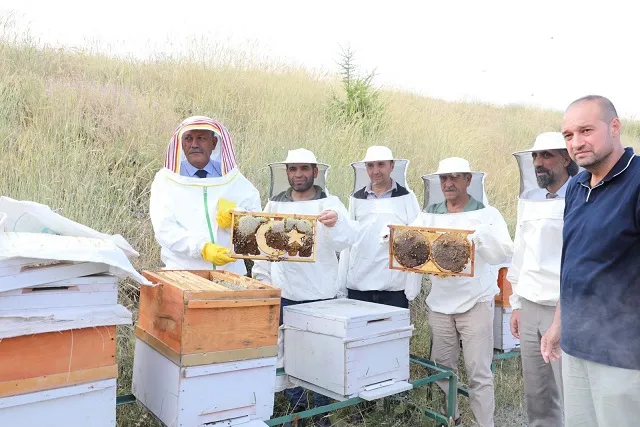 BEÜ Arıcılık Merkezinde Bal Hasadı Yapıldı